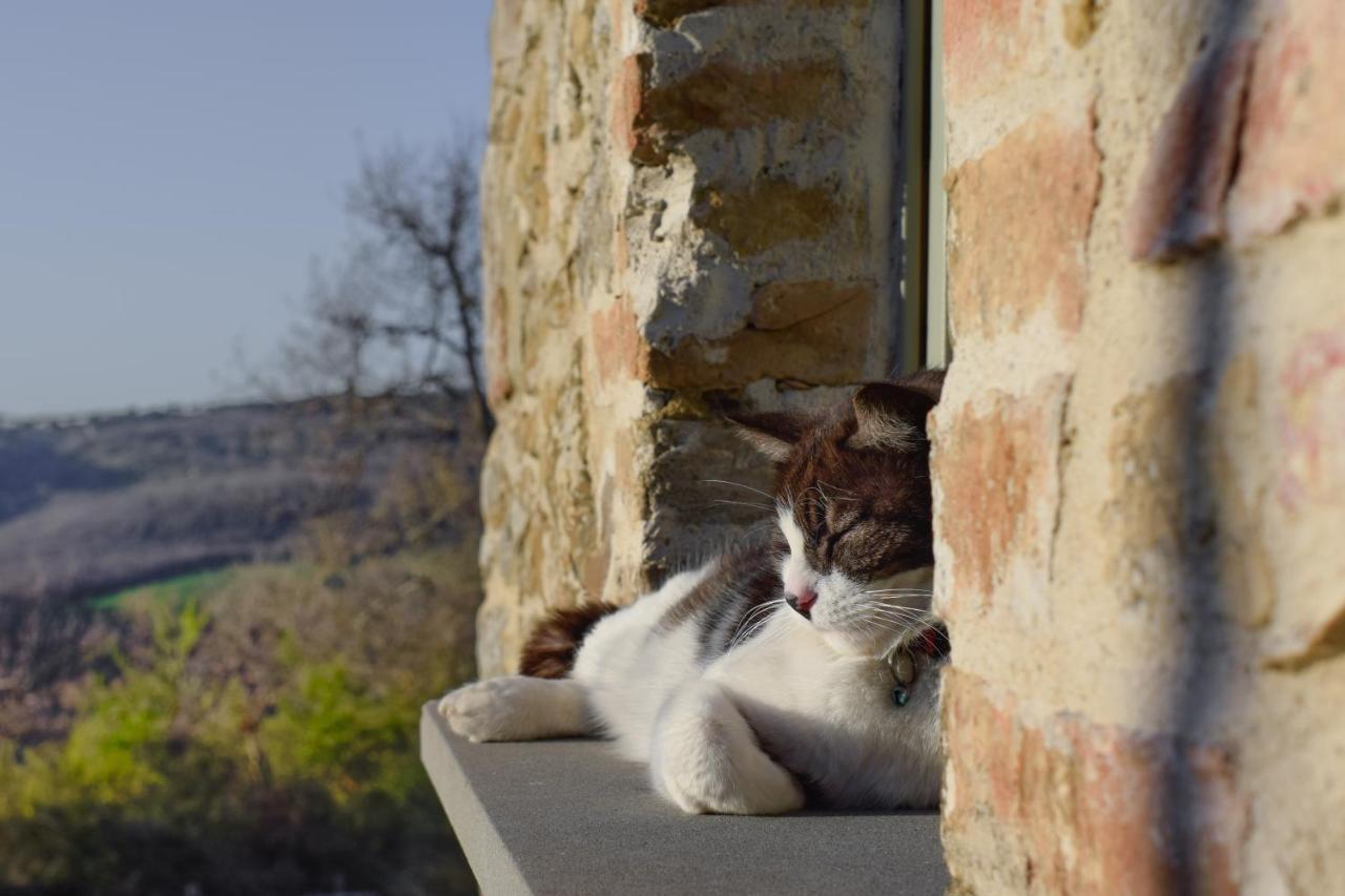 Podere Paradiso Villa Magione Kültér fotó