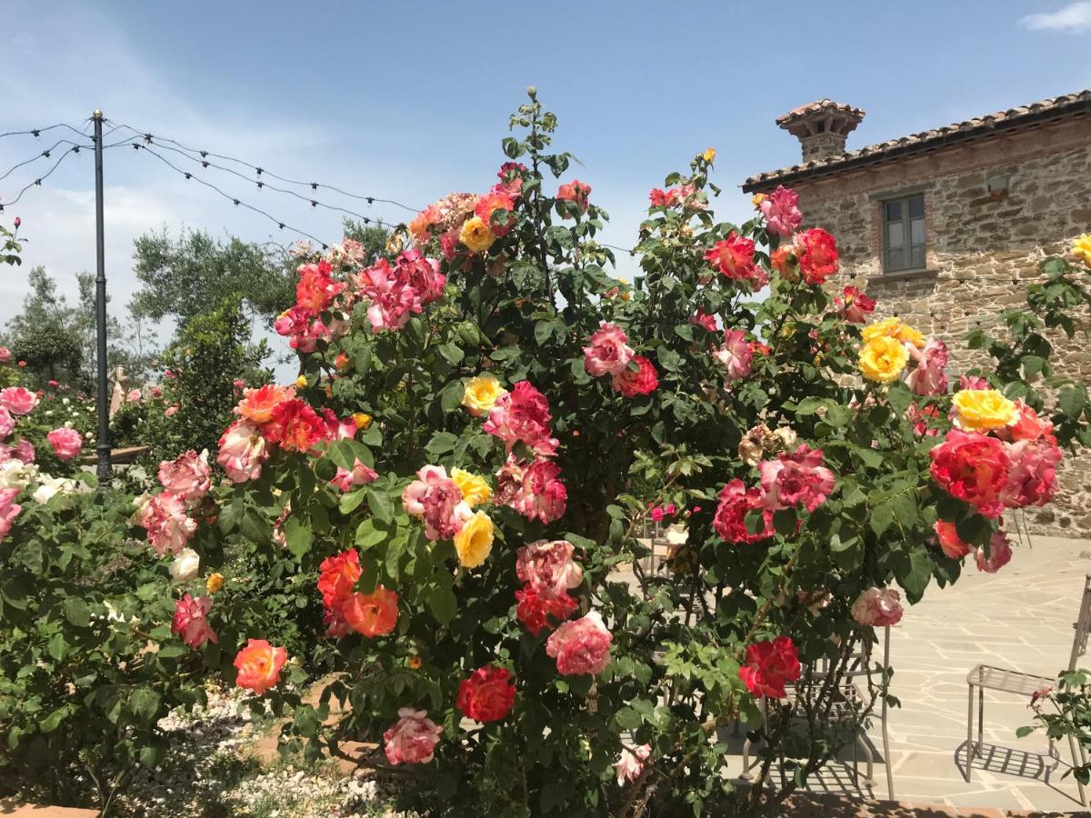 Podere Paradiso Villa Magione Kültér fotó