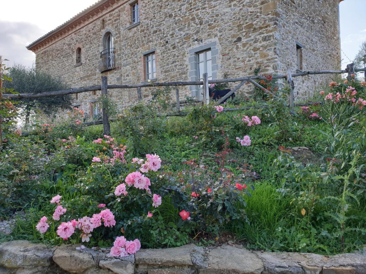 Podere Paradiso Villa Magione Kültér fotó